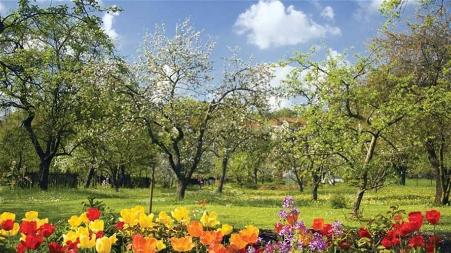 عودة تدريجية للأجواء الربيعية الدافئة...