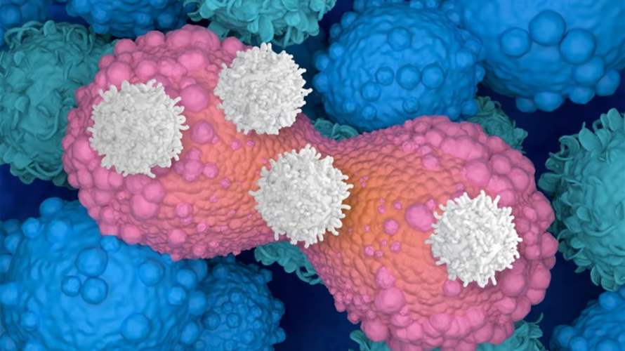 أختراق طبي واعد… CAR T-cell: علاج يعيد تسليح المناعة ضد السرطان