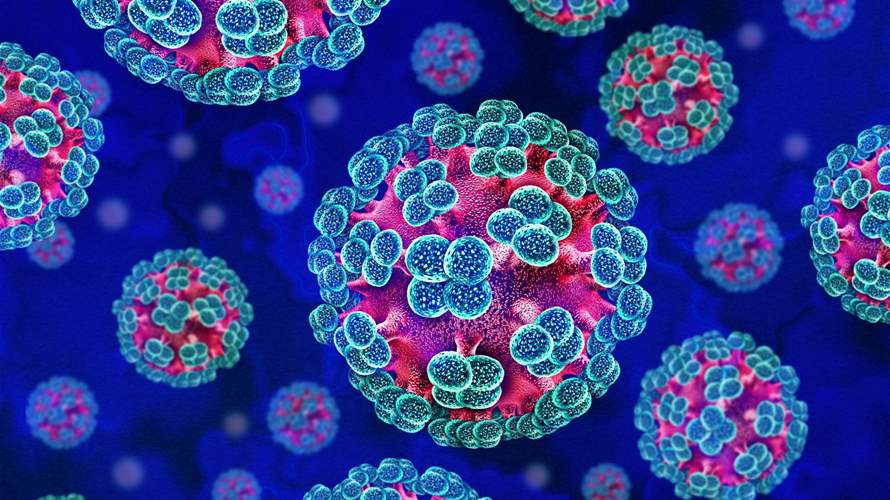 Italian hospital to screen samples of man in hantavirus quarantine