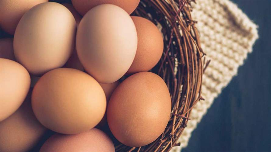 أطعمة تحتوي على بروتين أكثر من البيض... ما هي؟