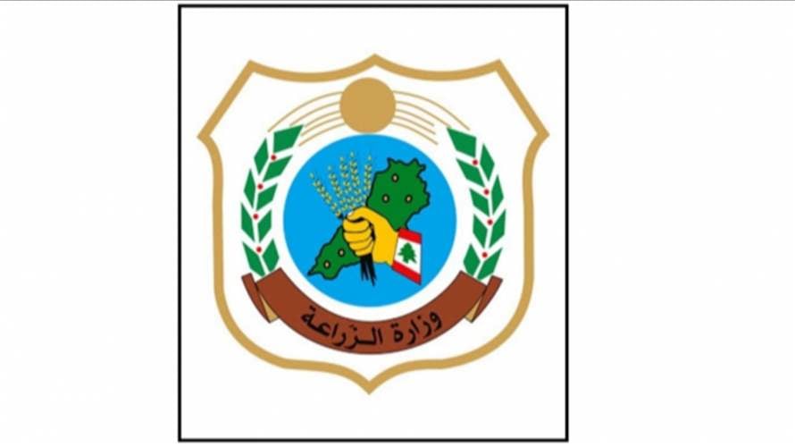 وزارة الزراعة تدعو الجمعيات والنحالين لتزويدها بملاحظاتهم حول تربية النحل