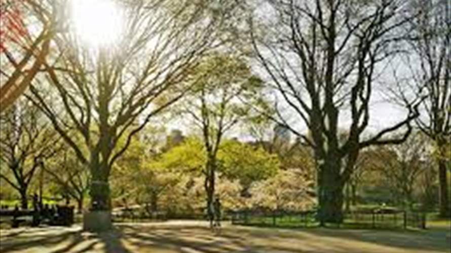 US experienced second-warmest spring on record: NOAA