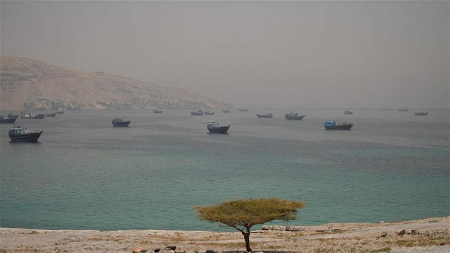 Sixteen India-bound ships loaded with fertilizers stuck in Hormuz strait: Government