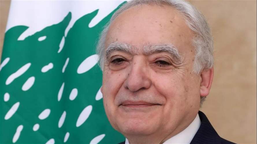 وزير الثقافة جال على المواقع الأثرية التي تعرضت لأضرار: حماية الآثار مسؤولية دولية مشتركة