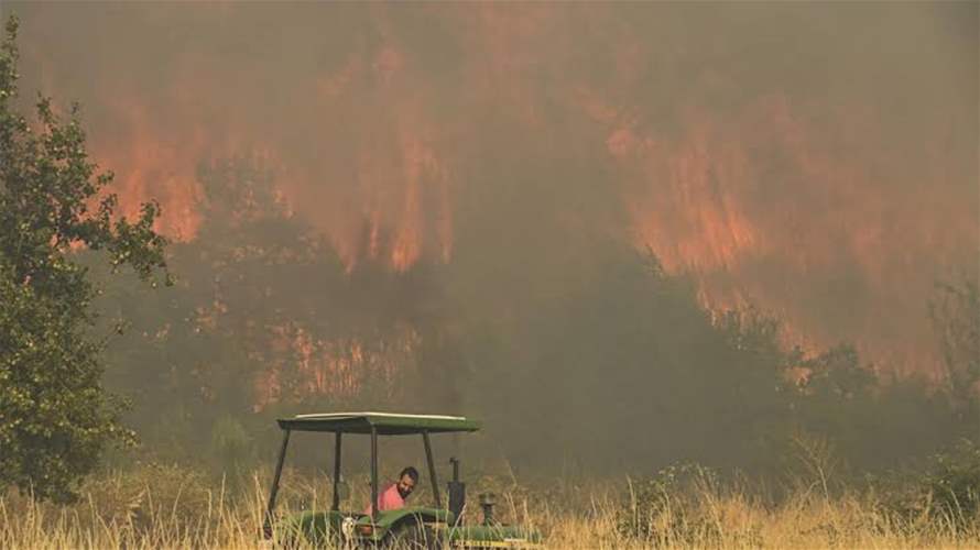 Six dead in wildfire in southern Spain: Official