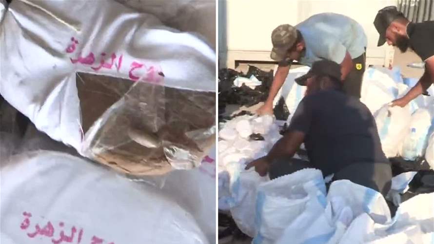 3.5 tons of cannabis seized at Beirut port: Video 