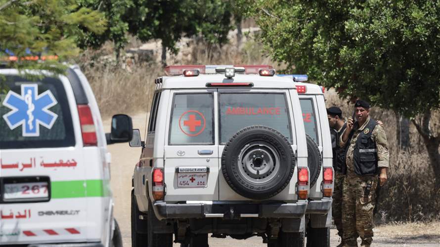 Residents begin returning to Zawtar el-Gharbiyeh, southern Lebanon: Video 