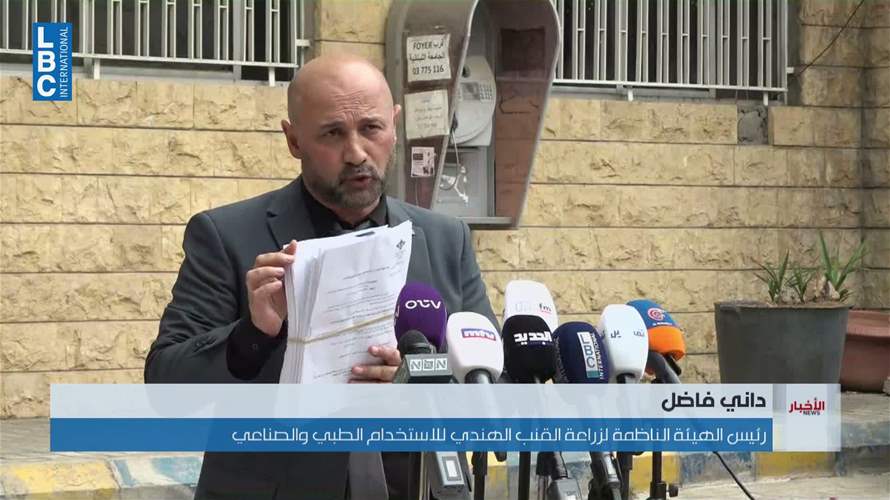 زراعة القنب الهندي الطبي والصناعي معلّقة... داني فاضل يوضح أسباب تأخير المراسيم التطبيقية