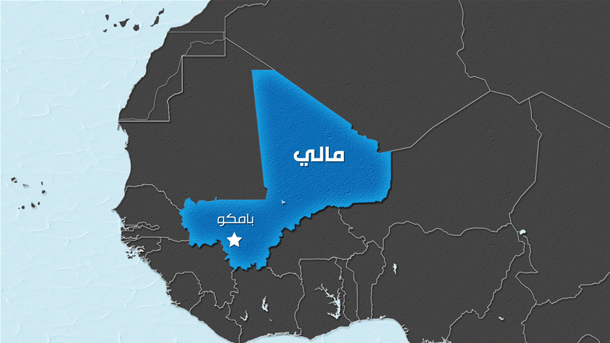 Mali grants presidential pardon to jailed French official: Govt