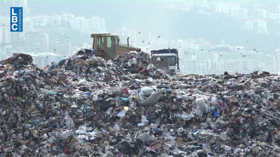 حل مشكلة الطيور في المطار على الأرض وليس في السماء!