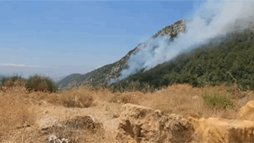 Major wildfire breaks out in Aitou forest in northern Lebanon: Video