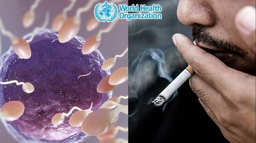 تحذير جديد من منظمة الصحة العالمية بشأن التدخين... هذا ما قد يهدده!