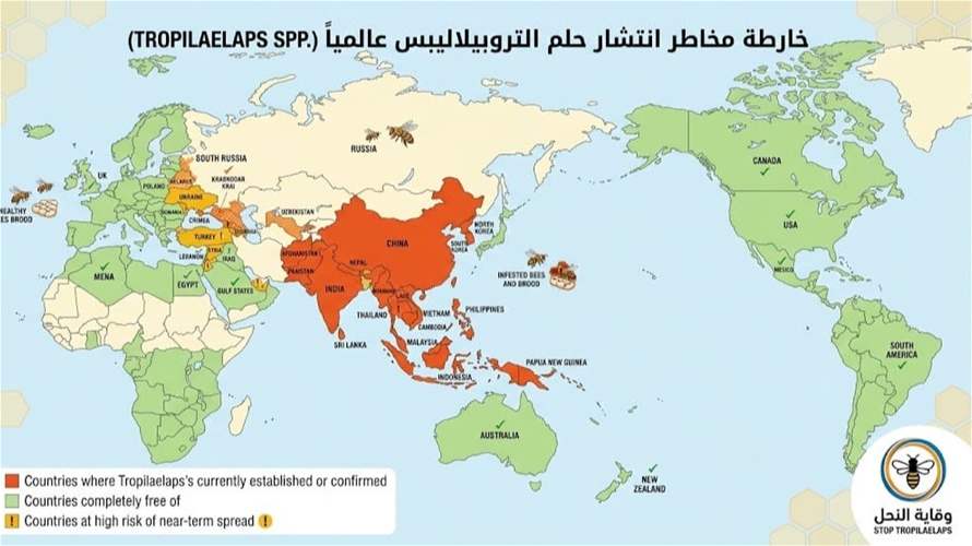وزارة الزراعة: إجراءات وقائية للمحافظة على استدامة قطاع تربية النحل ومنع انتشار آفة التروبيلايلبس