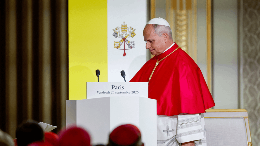 Pope denounces surrogacy, assisted dying