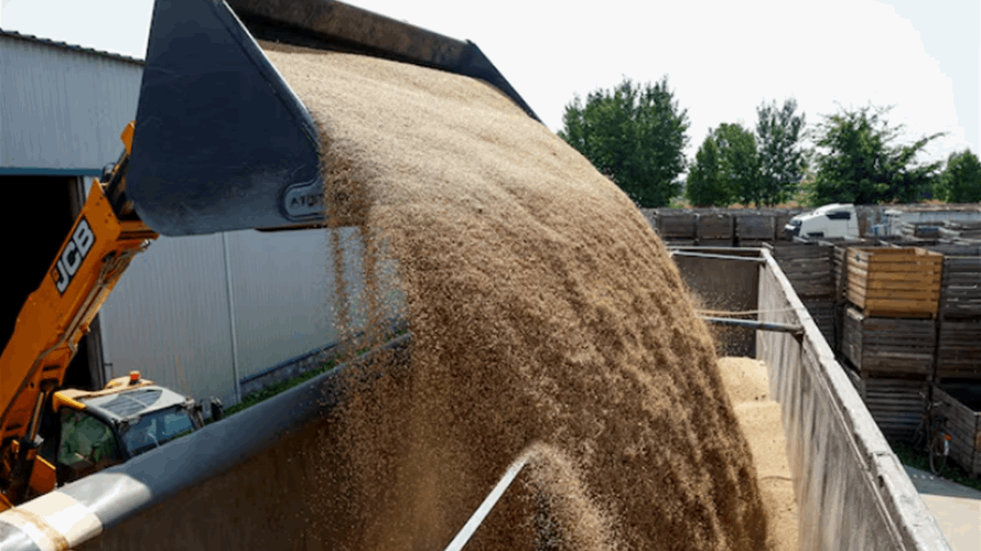 World food prices near four-year high in September: UN