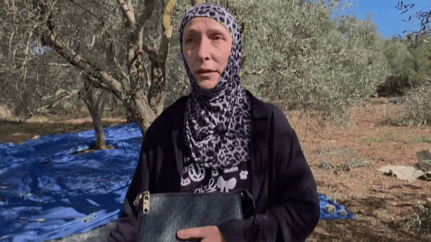 في ميفدون... موسم الزيتون تحت القصف وأهالي البلدة يتمسّكون بأرضهم