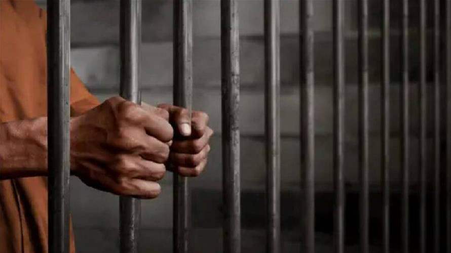 مصدر قانوني لـ"النهار": قرار الطعن بقانون العفو متوقّع خلال يومين.. والأكثرية المطلوبة غير متوافرة حتى الآن