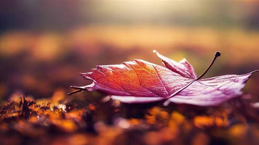 احتمال تساقط بعض الامطار قبل استقرار الطقس مجدّدًا