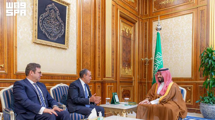 ولي العهد السعودي يجتمع بوزير الخارجية المصري في الرياض