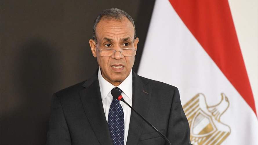 Egypt urges political solution between Saudis and Houthis: FM