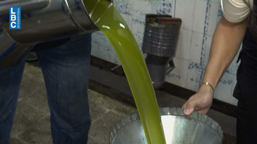 زيت الزيتون بين وفرة الإنتاج وتراجع الأسعار… وموسم الجنوب ينتظر التعافي