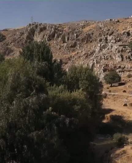  تعرّفوا على صناعة الخمر في بركة رأس العين