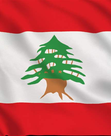 Lebanon's Naturalization Decree Forgery Scandal Unveiled: Extensive Investigations and Shocking Revelations