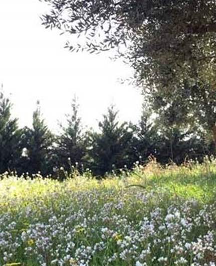 مرتفع جوي يؤثر على لبنان... والحرارة تتخطى عتبة الـ٣٠ درجة يوم الجمعة!