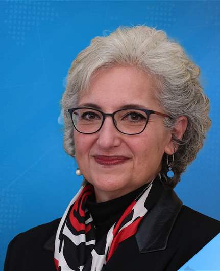 Lebanese Education Minister Rima Karami says official exams to begin July 9, no optional subjects