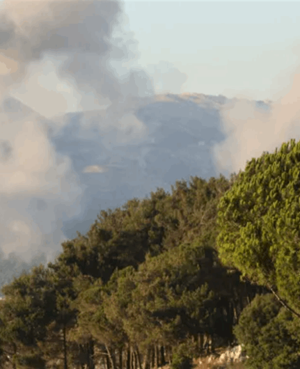 Israel military claims struck Hamas militant in north Lebanon