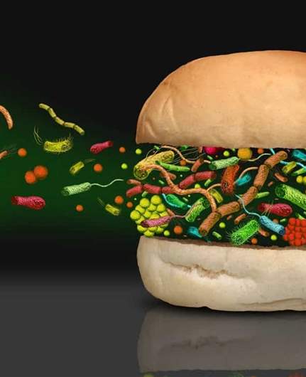 Food poisoning cases double: Extreme heat drives food safety concerns across Lebanon and beyond