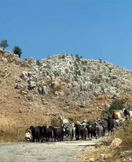 محمية ارز جاج بين الجمال والتعديات