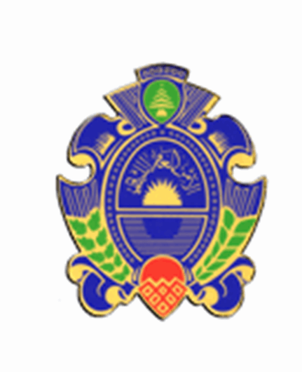 الأمن العام: توقيف شبكة تركية لتهريب المخدرات في مطار رفيق الحريري