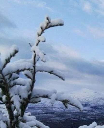 انحسار الأمطار يترافق مع برد قارس وجليد جبلاً