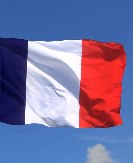 'No French plan' to stop war in Lebanon: Foreign ministry