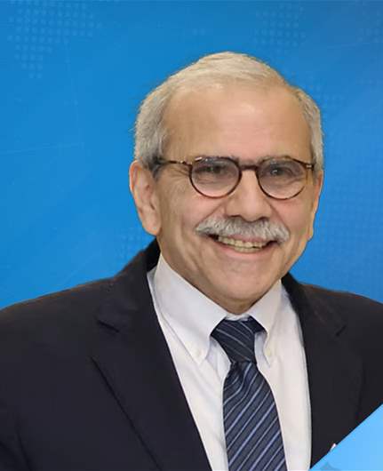 PM Salam in Paris for talks on UNIFIL and South Lebanon issues