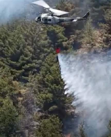 LBCI Exclusive footage shows massive fire raging through Aitou forest 