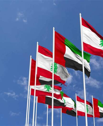 LBCI information: UAE business delegation to visit Lebanon to sign private sector agreements