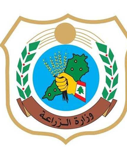 توضيح لوزارة الزراعة بشأن ظاهرة نفوق الأسماك الصغيرة على بعض الشواطئ
