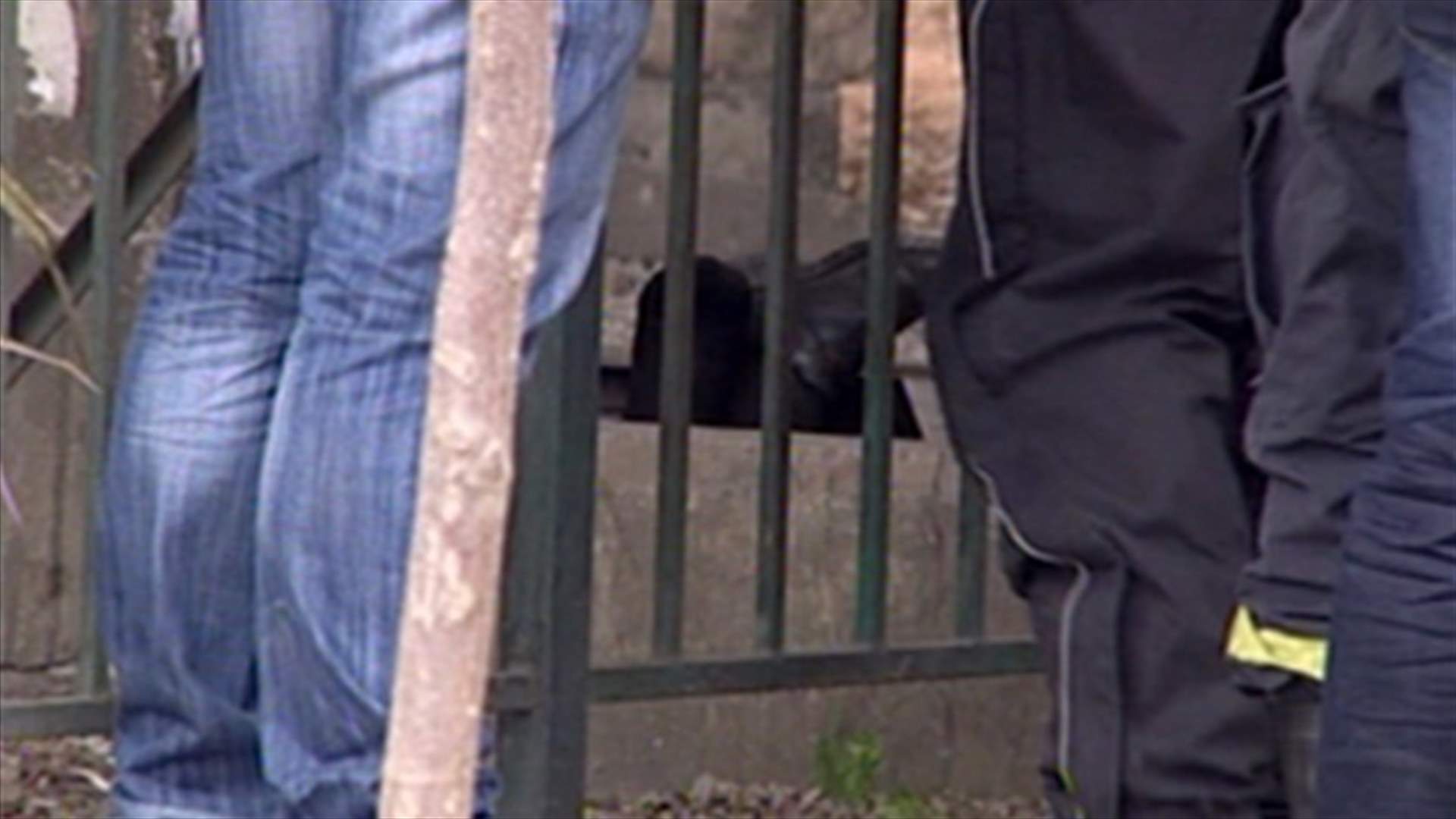  Body found under Cola Bridge 