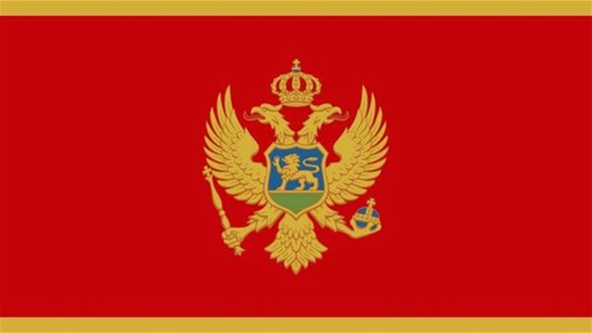 Several killed and injured in Montenegro bus crash