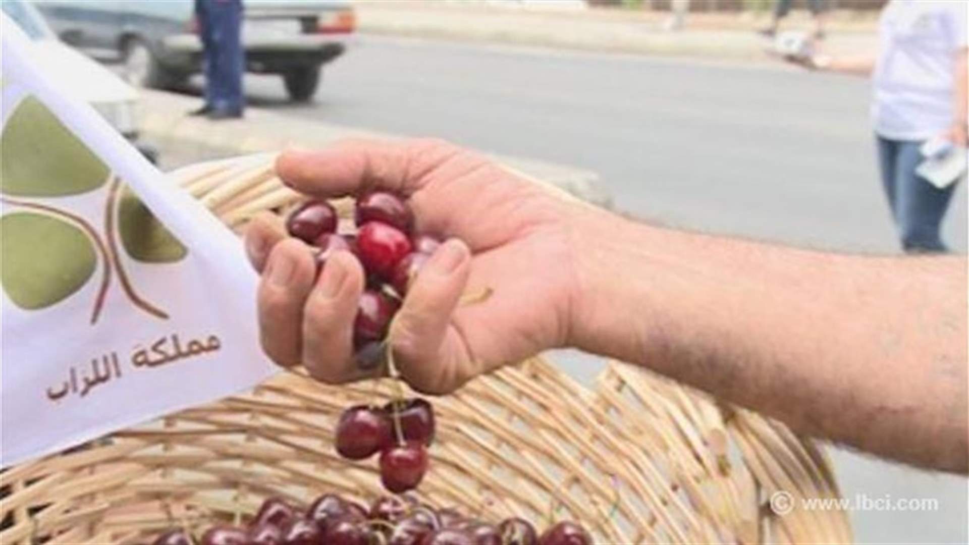 REPORT: Barqa’s cherry, from Bekaa to Antelias