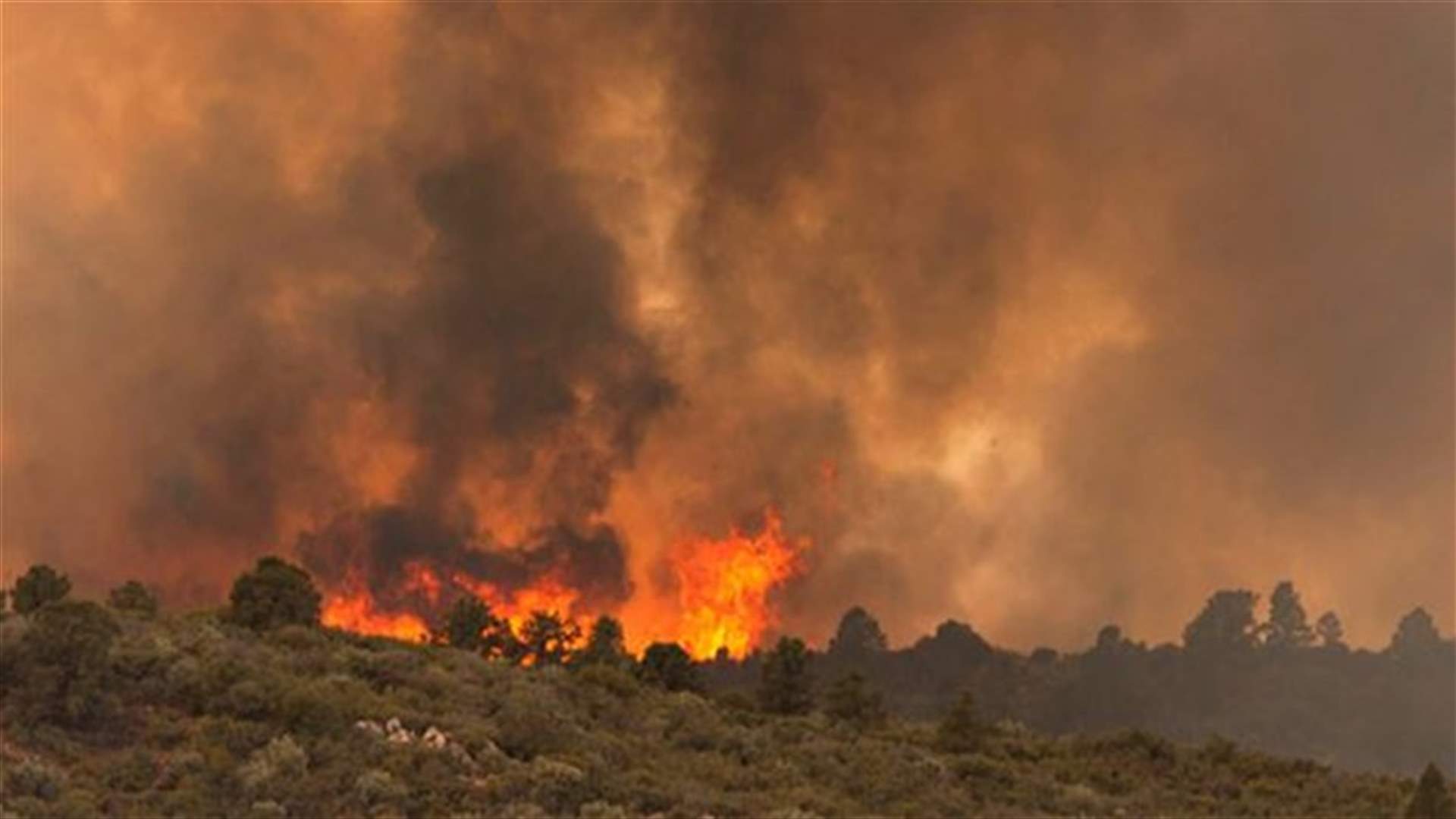 Deadly Arizona wildfire spreads, rages unchecked - state officials