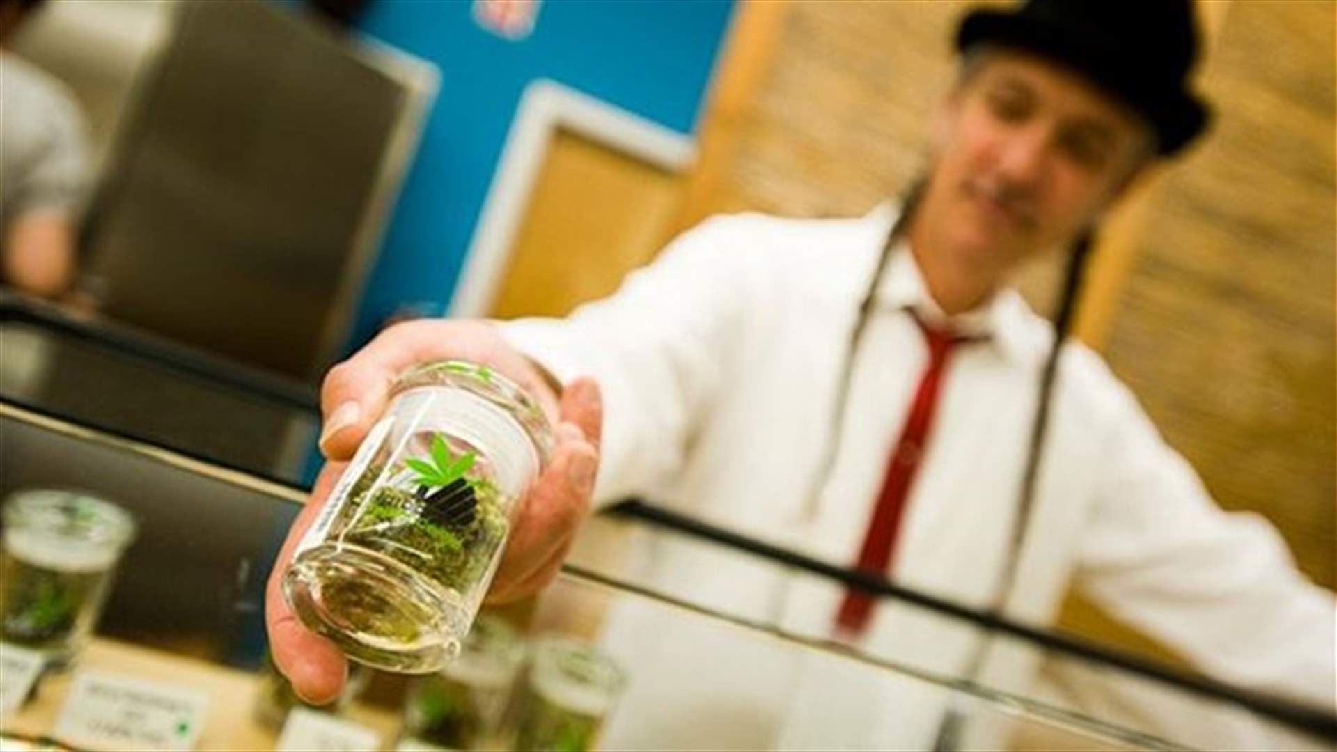California marijuana shop billed world's largest, may stay open 