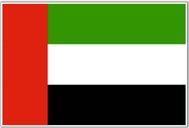 UAE sentences 69 in mass coup plot trial