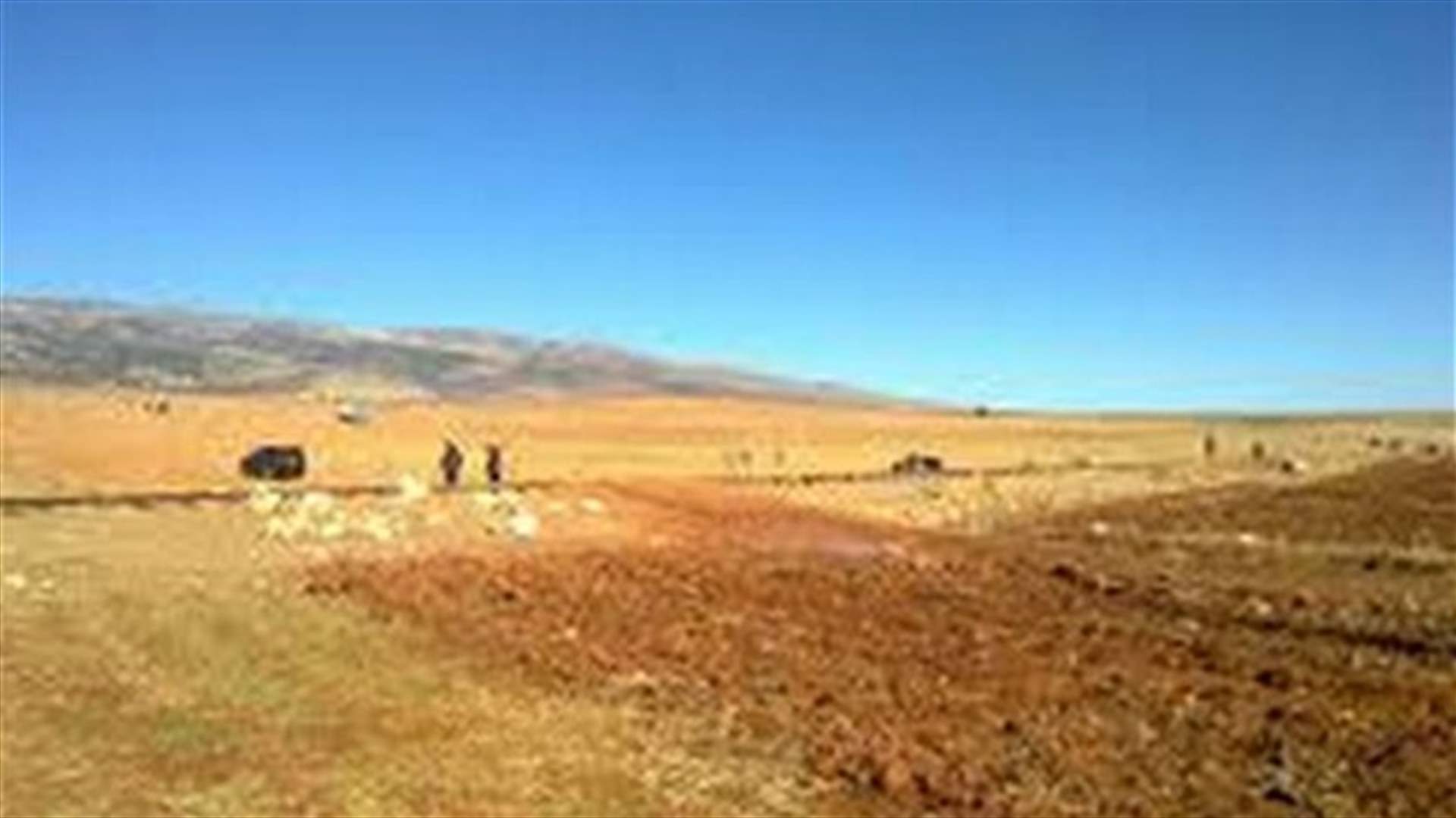 Kidnapped Lebanese citizen released in Bekaa