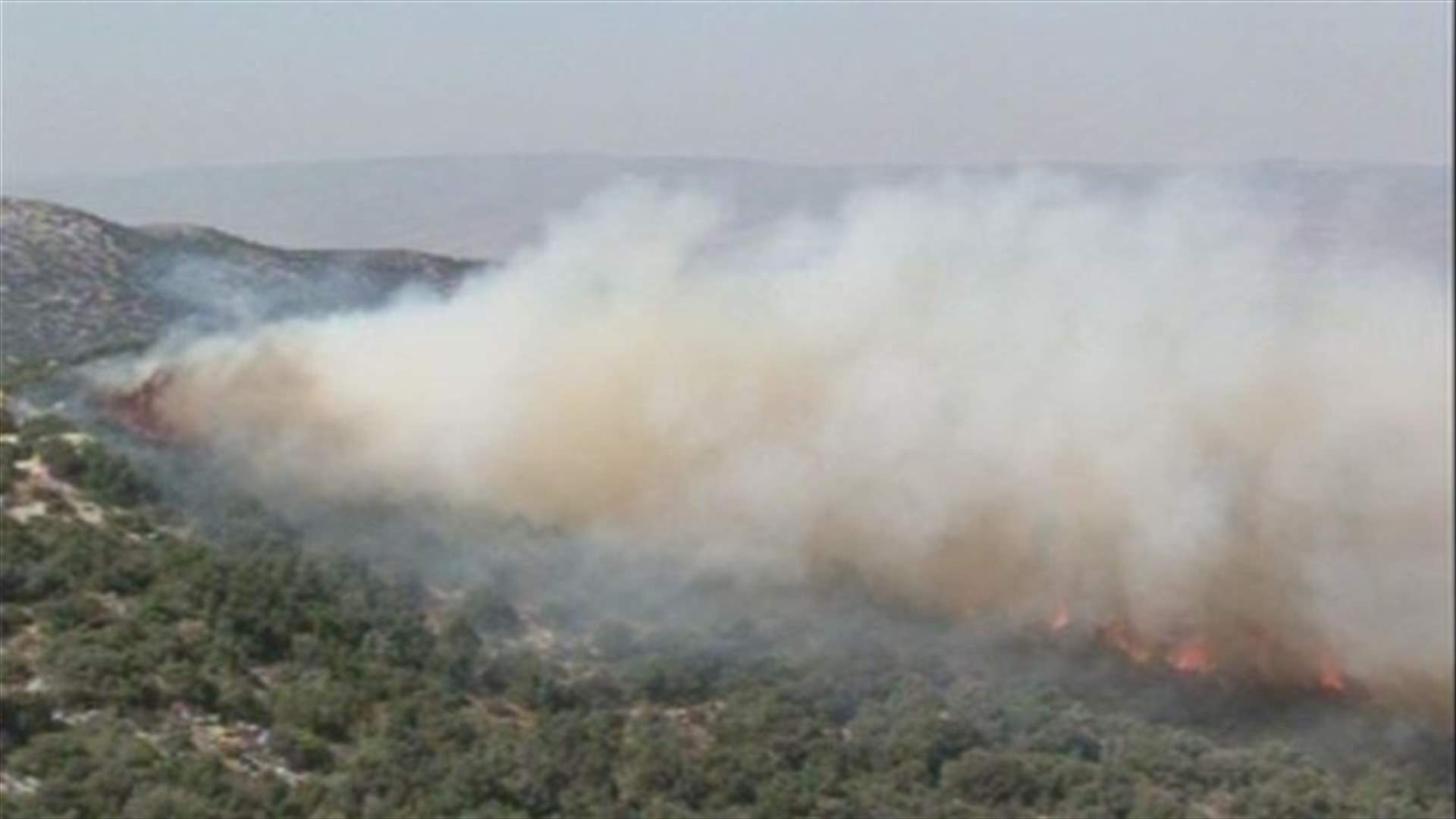 REPORT: Raging blaze re-erupts, scorching Lebanese forestland in Akkar 