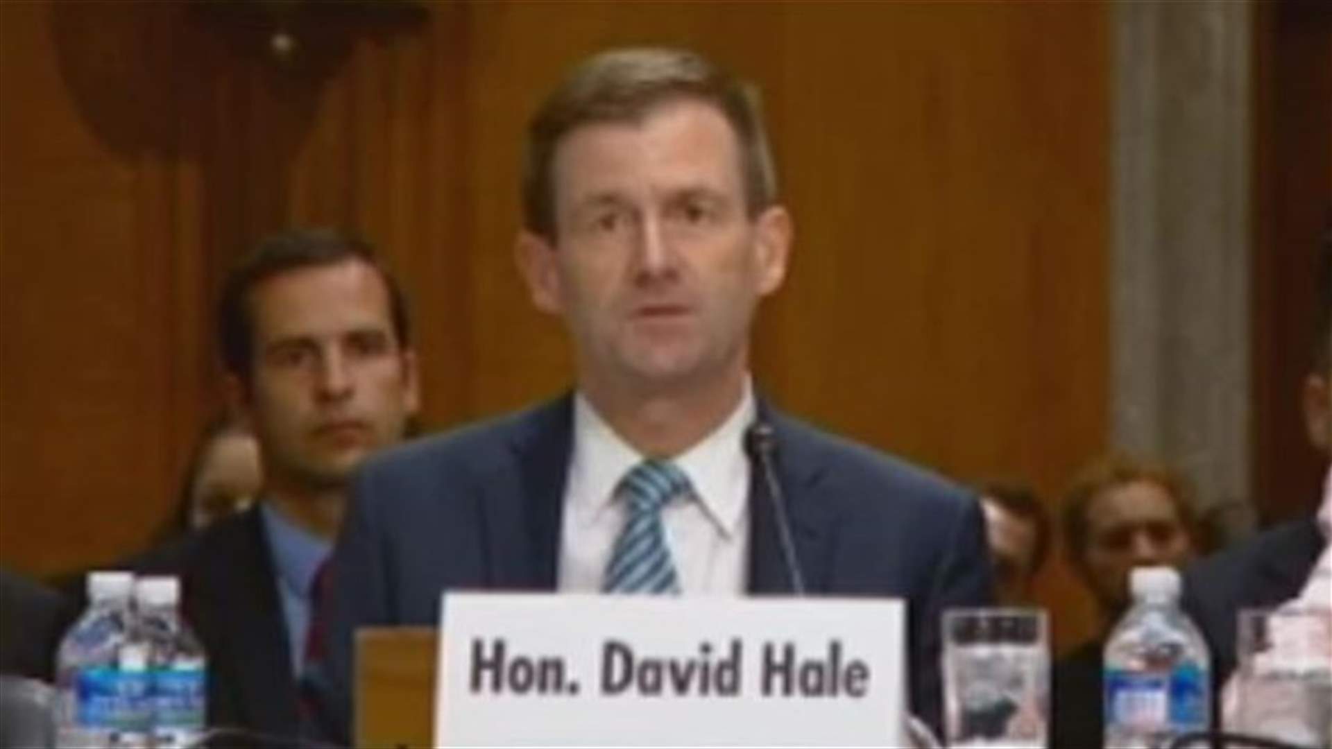 Hale says Hezbollah is putting its interests above those of the Lebanese people