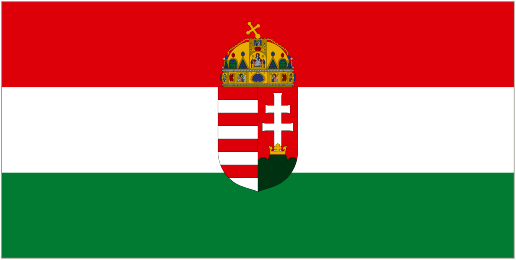 Hungary court finds four men guilty of Roma killings