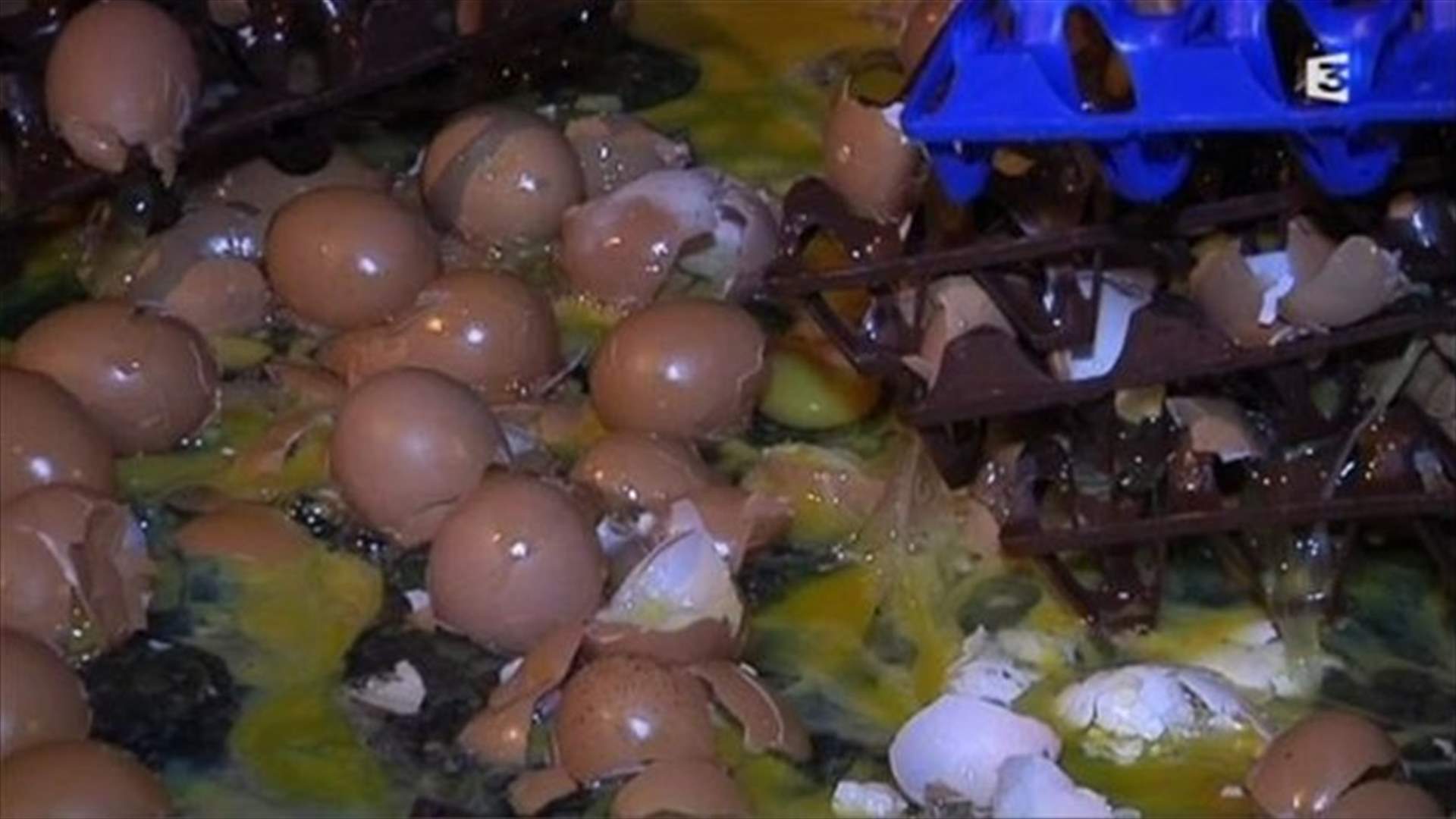 مزارعون فرنسيون يسحقون مئة ألف بيضة يومياً احتجاجاً